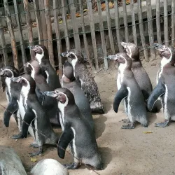 Zoological Garden Schwerin (Zoo Schwerin) - Schwerin