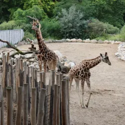 Zoological Garden Schwerin (Zoo Schwerin) - Schwerin