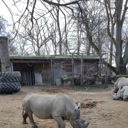 Zoological Garden Schwerin (Zoo Schwerin) - Schwerin