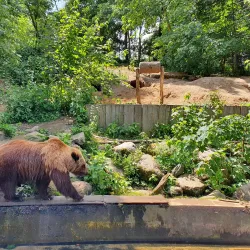 Zoological Garden Schwerin (Zoo Schwerin) - Schwerin