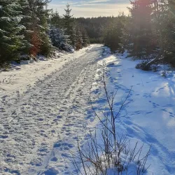 Rothaarsteig Trail - Siegen