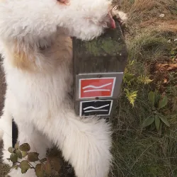 Rothaarsteig Trail - Siegen