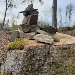 Rothaarsteig Trail - Siegen