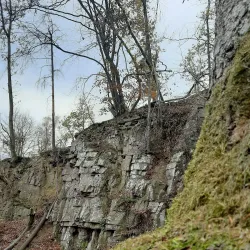 Rothaarsteig Trail - Siegen