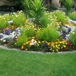 Siegen Botanical Garden - Siegen