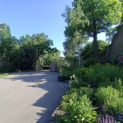 Siegen City Park (Stadtpark) - Siegen