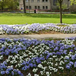 Siegerland Museum - Siegen
