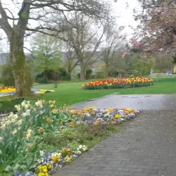 Siegerland Museum - Siegen