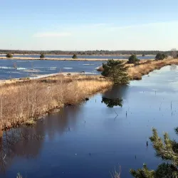 Bürgerpark Sittensen - Sittensen