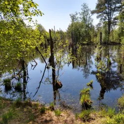 Bürgerpark Sittensen - Sittensen
