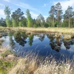 Bürgerpark Sittensen - Sittensen
