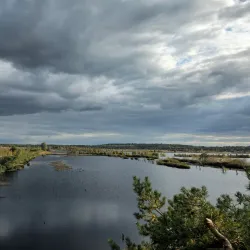 Bürgerpark Sittensen - Sittensen