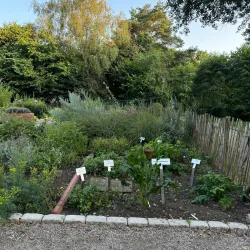 Heidegarten Sittensen - Sittensen