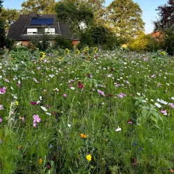 Heidegarten Sittensen - Sittensen
