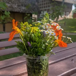 Heidegarten Sittensen - Sittensen