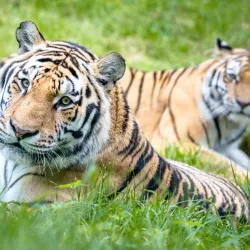 Nature Park Lüneburger Heide - Sittensen