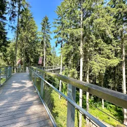 Nature Park Lüneburger Heide - Sittensen