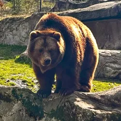 Nature Park Lüneburger Heide - Sittensen