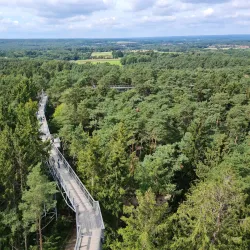 Nature Park Lüneburger Heide - Sittensen