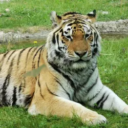 Nature Park Lüneburger Heide - Sittensen