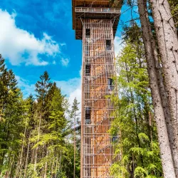 Nature Park Lüneburger Heide - Sittensen