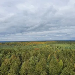 Nature Park Lüneburger Heide - Sittensen