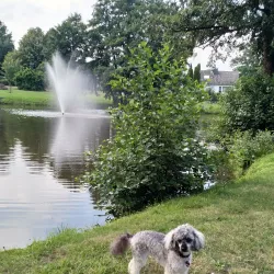 Sittensen Local History Museum - Sittensen