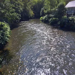 Schloss Burg Cable Car - Solingen