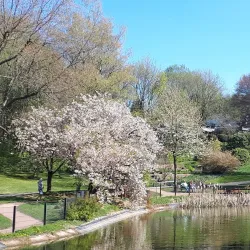 Solingen Botanical Garden (Botanischer Garten Solingen) - Solingen