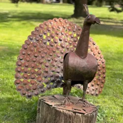 Solingen Botanical Garden (Botanischer Garten Solingen) - Solingen