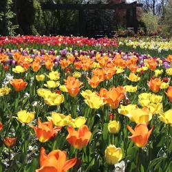 Solingen Botanical Garden (Botanischer Garten Solingen) - Solingen