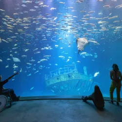 Ozeaneum - Stralsund
