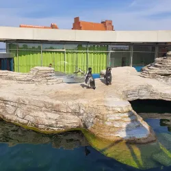 Ozeaneum - Stralsund