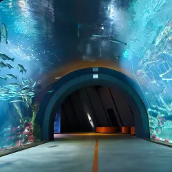 Ozeaneum - Stralsund