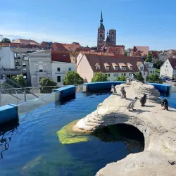 Ozeaneum - Stralsund