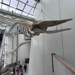 Ozeaneum - Stralsund