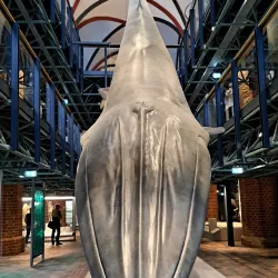 Stralsund Museum - Stralsund