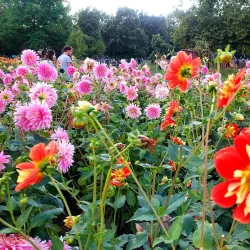 Killesberg Park - Stuttgart