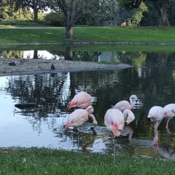 Killesberg Park - Stuttgart