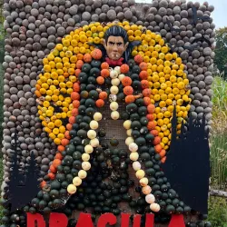 Ludwigsburg Palace - Stuttgart