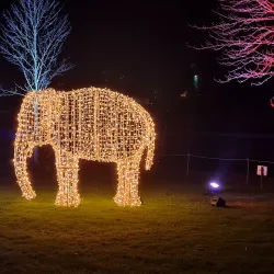 Wilhelma Zoo and Botanical Garden - Stuttgart