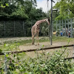 Wilhelma Zoo and Botanical Garden - Stuttgart