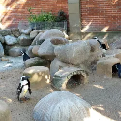 Wilhelma Zoo and Botanical Garden - Stuttgart