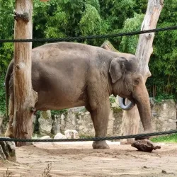 Wilhelma Zoo and Botanical Garden - Stuttgart