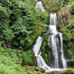Triberg Waterfalls - Triberg