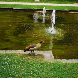 Electoral Palace (Kurfürstliches Palais) - Trier