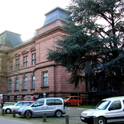 Rheinisches Landesmuseum Trier - Trier