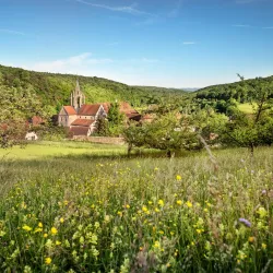 Bebenhausen Abbey (Kloster Bebenhausen) - Tubingen