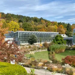Botanical Garden of the University of Tübingen - Tubingen