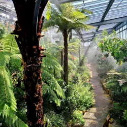 Botanical Garden of the University of Tübingen - Tubingen